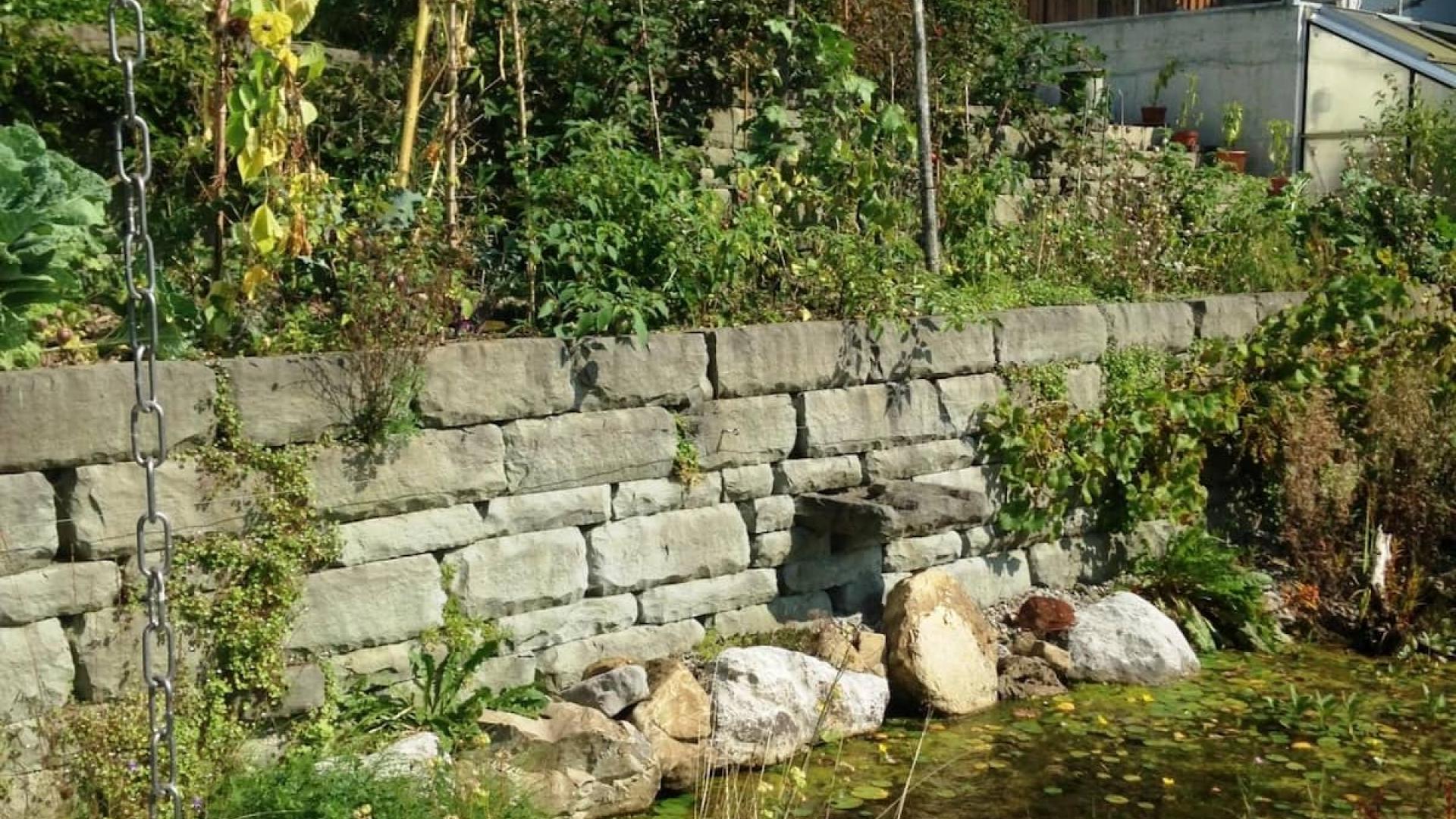 Trockenmauer an Teich