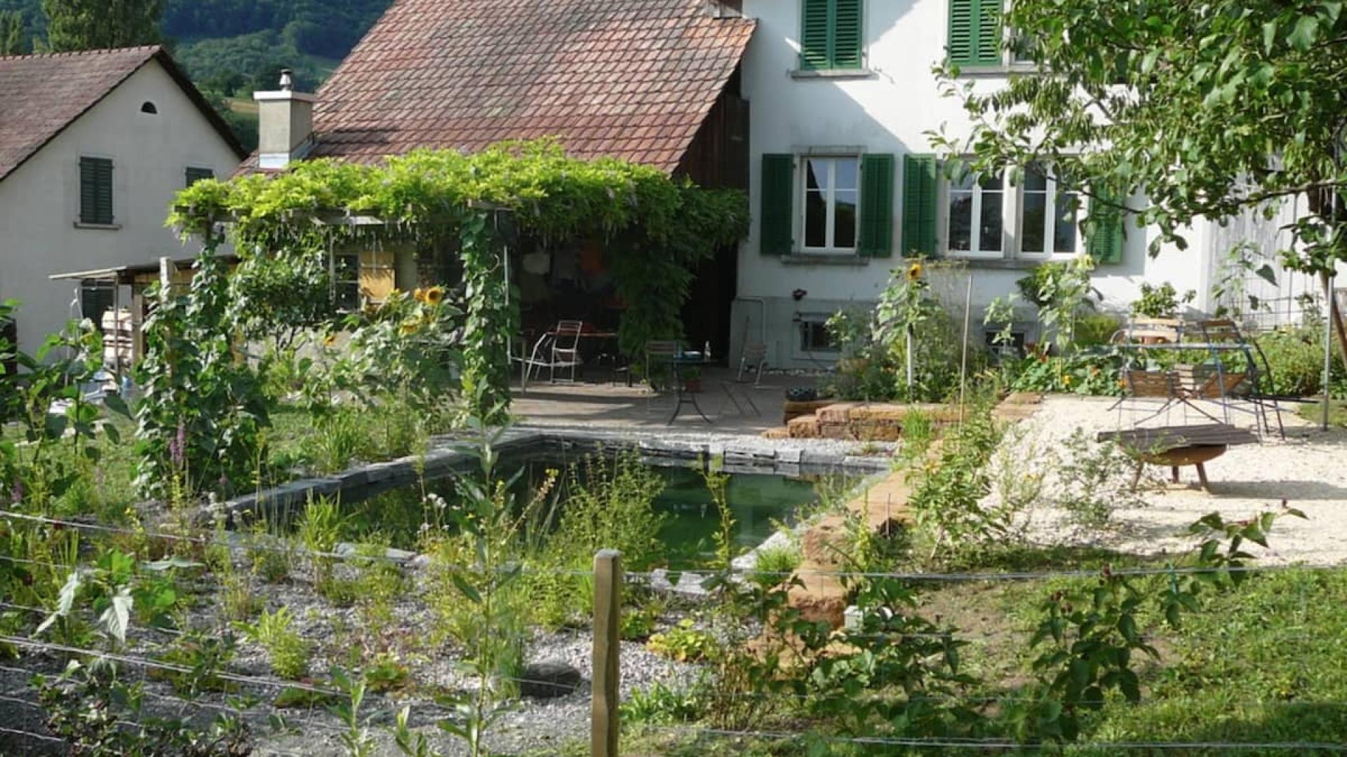 Garten mit Badeteich und naturnaher Bepflanzung