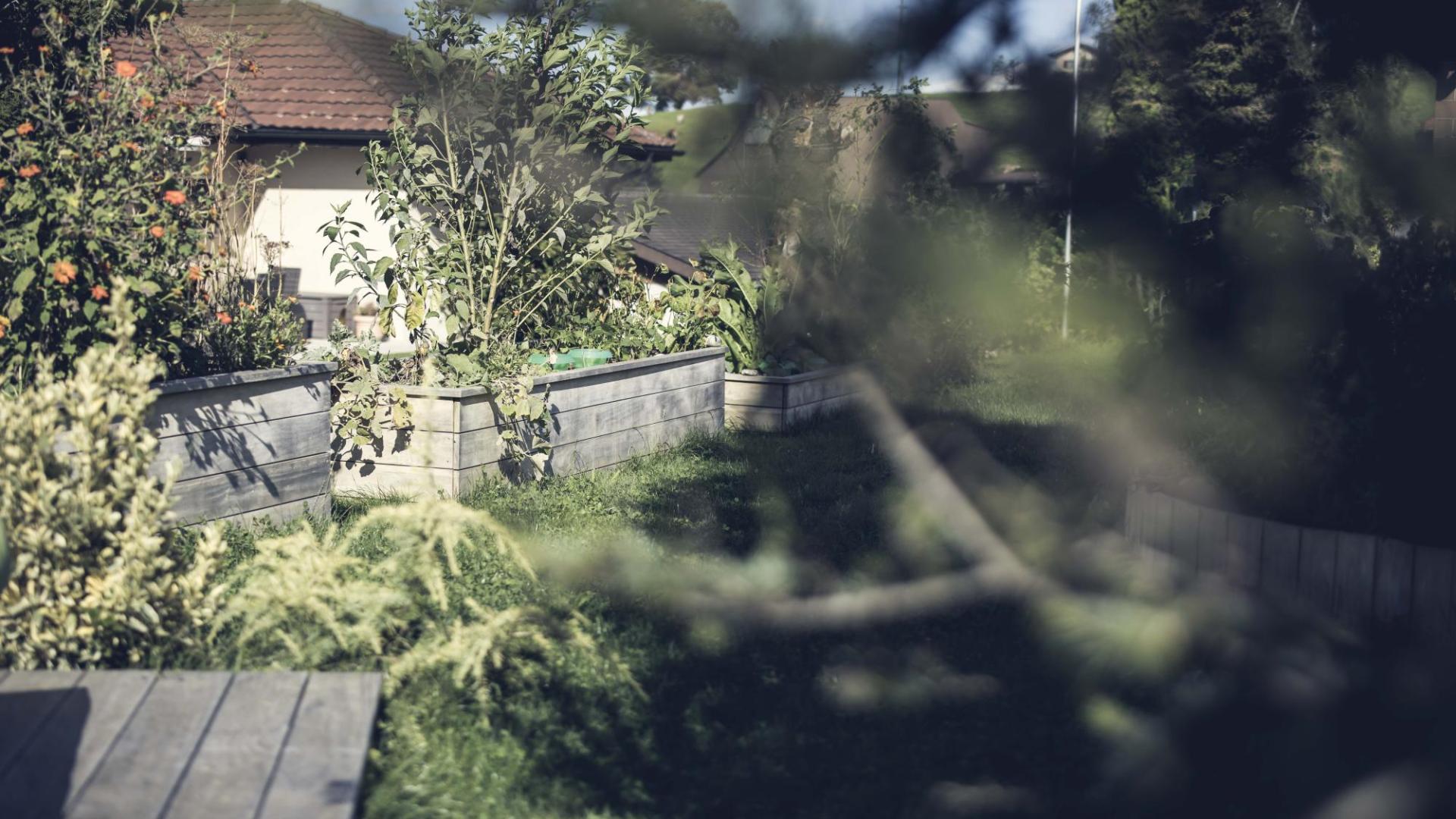 Garten durch Baum hindurch fotografiert