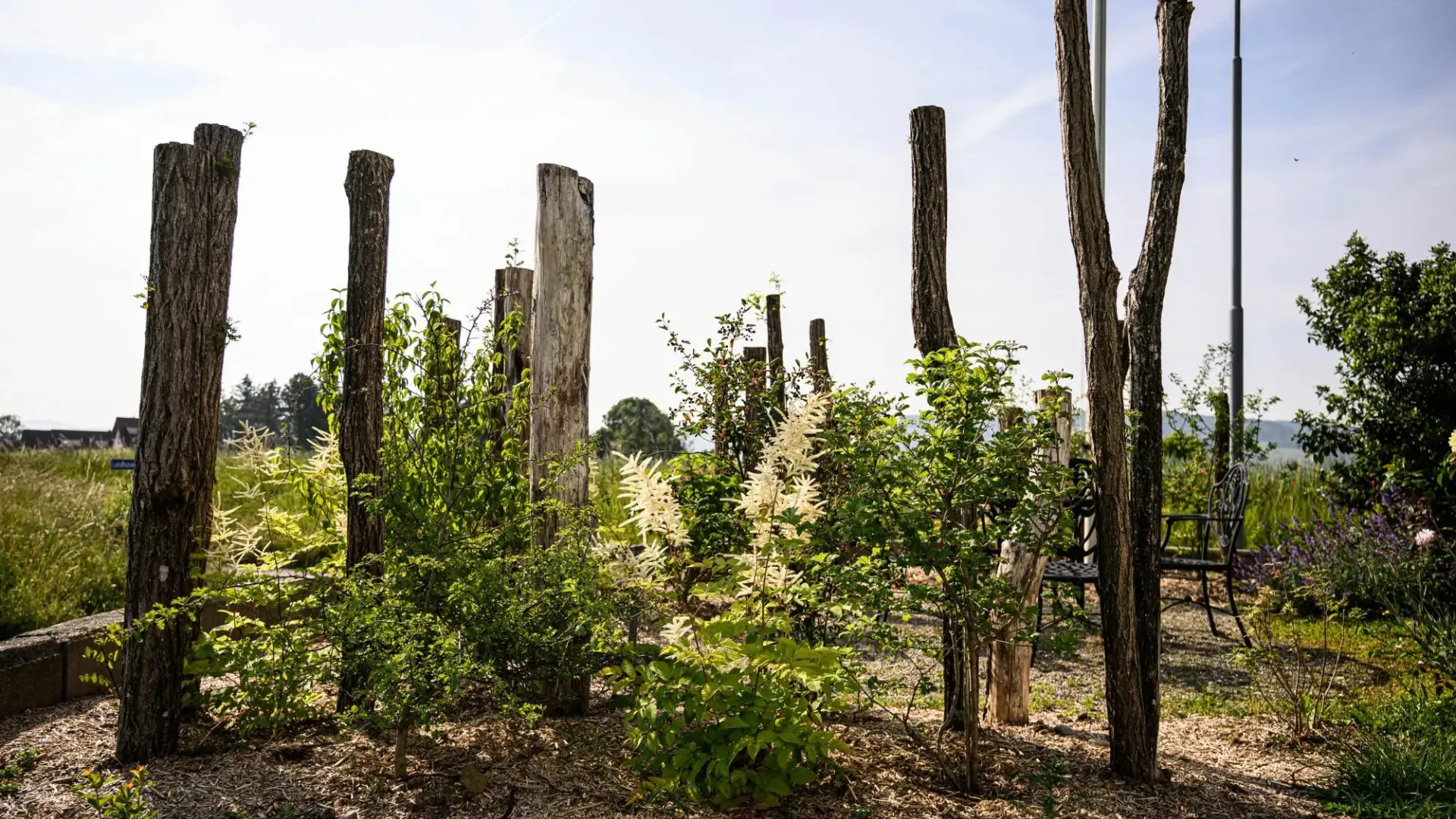 Stift Höfli Garten- und Landschaftsbau Naturgarten