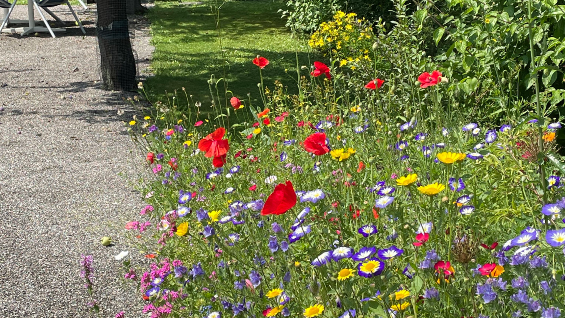 Naturgarten Schär & Stalder Gartenbau GmbH