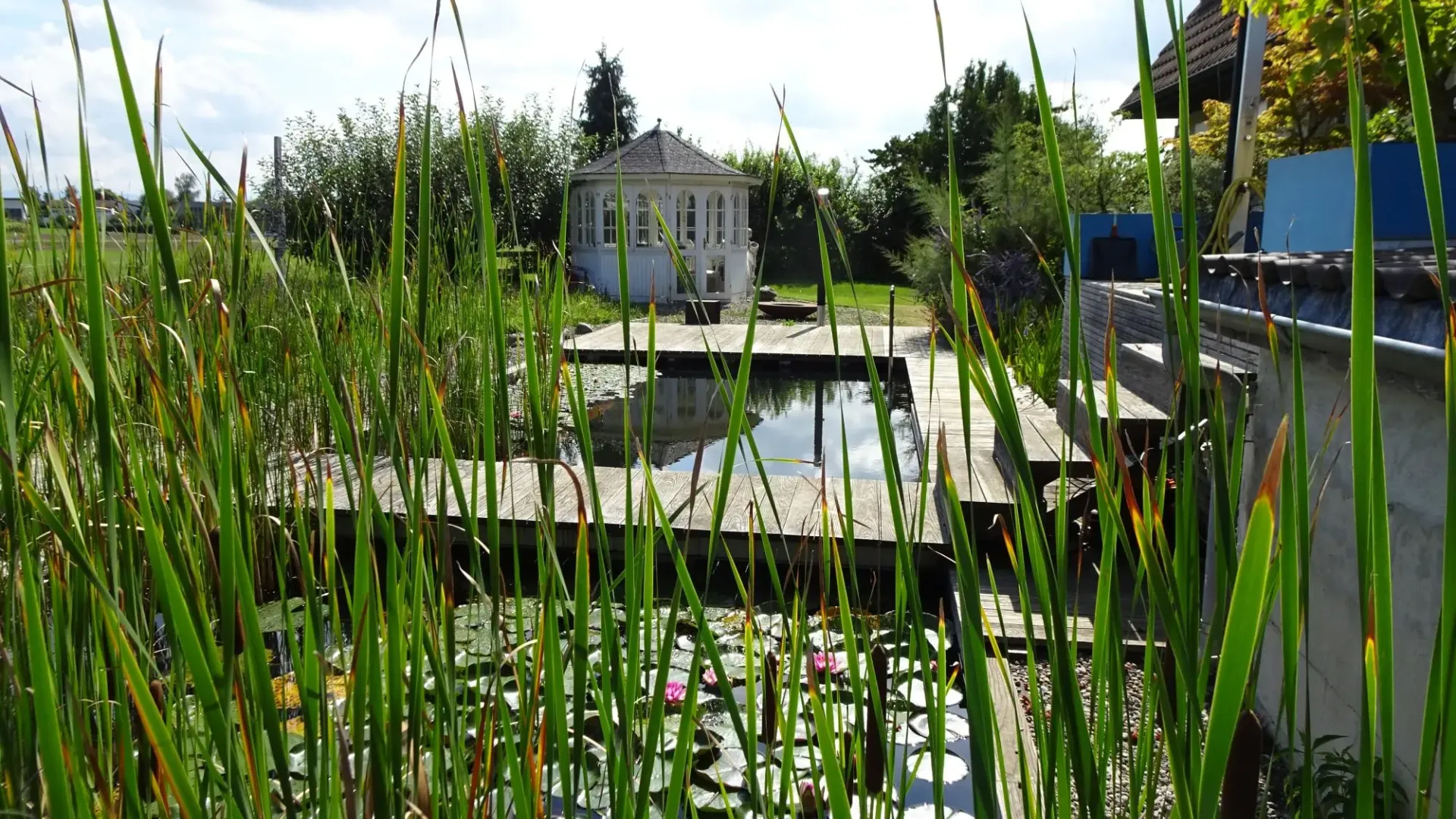 Naturgarten mit Teich