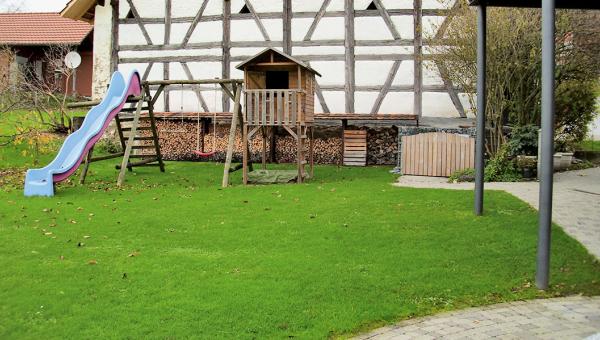 Naturgarten vorher