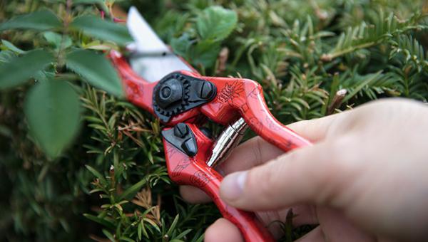 Felco 2 Sonderausgabe 