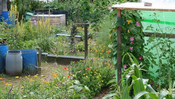 Bio-Gartenkurs Bioterra Baden-Brugg