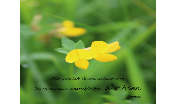 Wachsen
