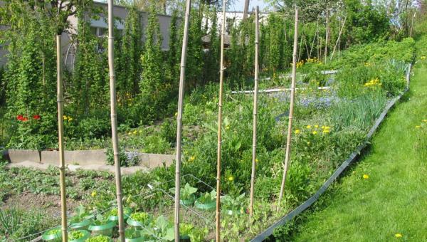Frühlingsgarten