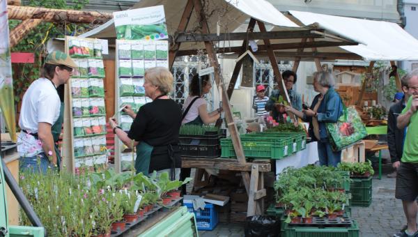 Markttreiben in Altstätten