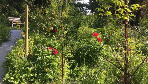 Garten in Fisibach