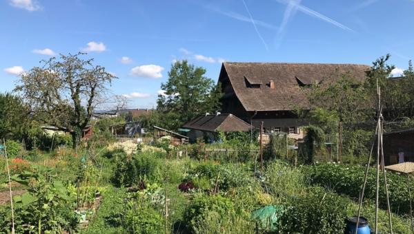 Das Wynegg-Bauernhaus im grünen