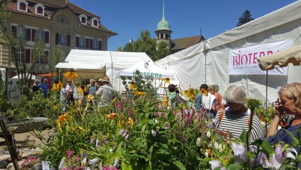 Bioterra am Bio Marché