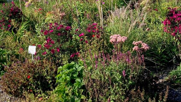 Bioterra Garten Labhart