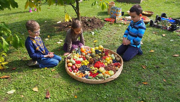 Kinder mit Obstkorb