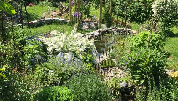Gartenbild