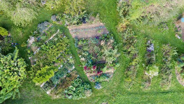 Permakulturgarten