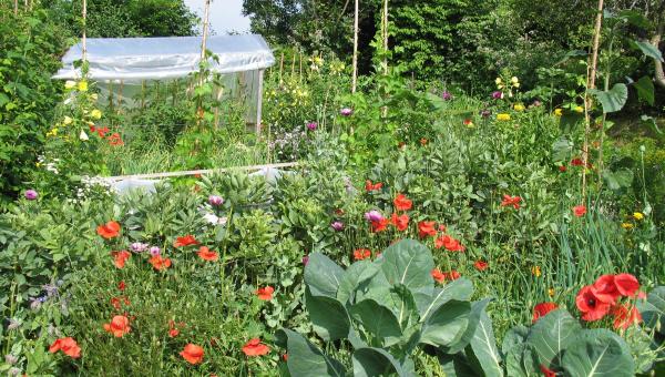 Bio-Garten