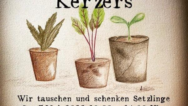 Flyer Kerzers