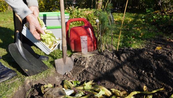 Küchenabfall einfach verwerten