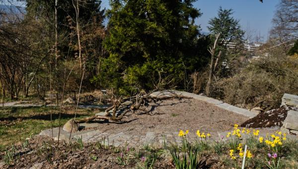 Kleinstruktur für Wildbienen