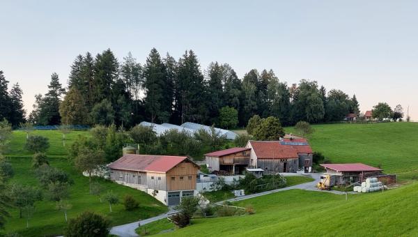 Bio Bauernhof