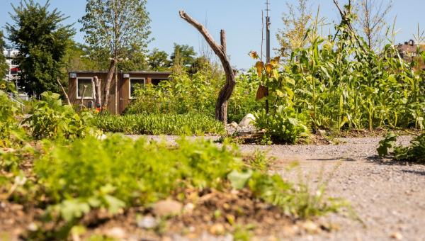 Garten am Bach