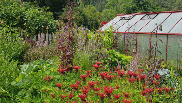 Gartenfest auf dem Bauernhof