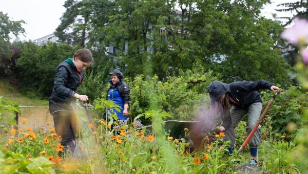 Kinder im Garten – Schulangebote