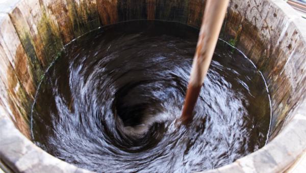 Herstellung eines biodynamischen Pflanzenpräparates