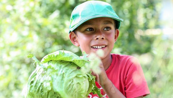 Junge mit Salat, Bild: Katharina Nüesch