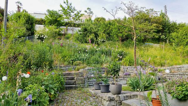 Naturgarten, Bild: Andreas Kessler