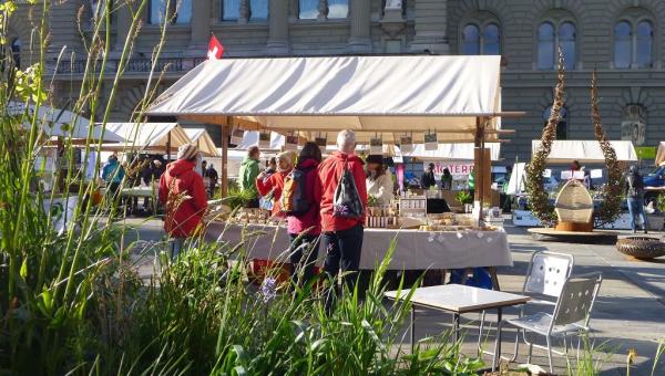 Markt