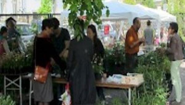 FRÜHLINGSMARKT 2019