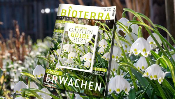 Bioterra März-Ausgabe 2023, Gestaltung Benedikt Dittli