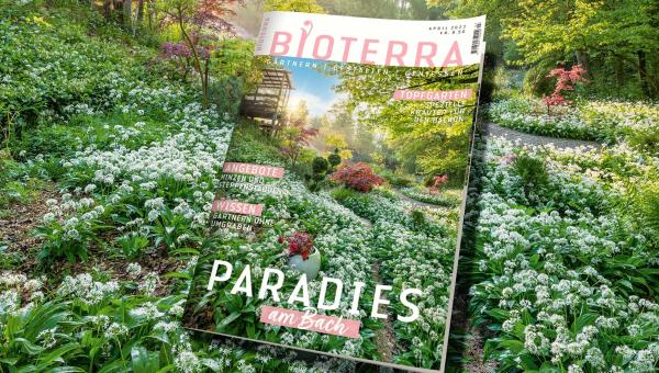 Bioterra April-Cover, Bild Benedikt Dittli