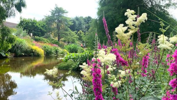 Gartenreise Beth Chatto Garden, Bild Doris Guarisco