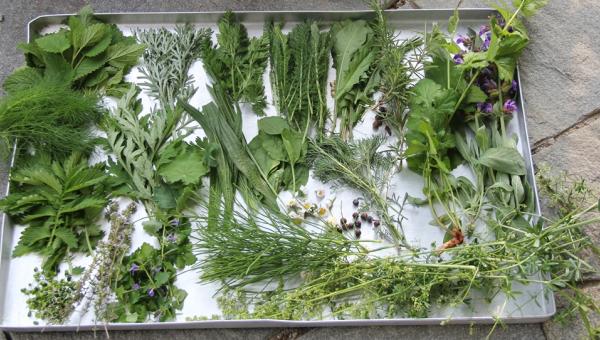Heimisches Superfood