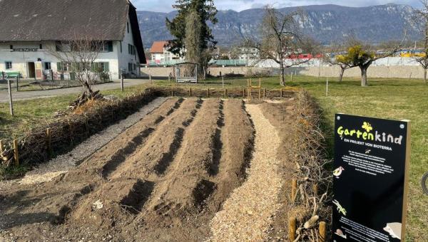 Garten-Projekt
