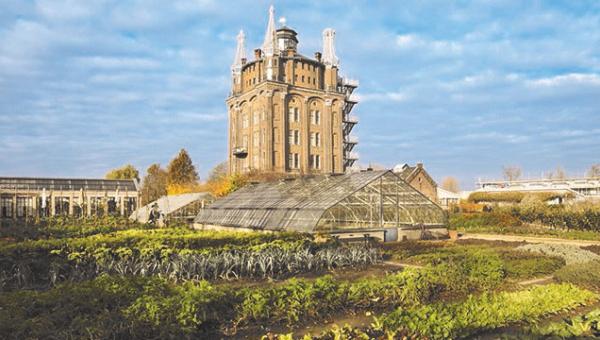 Gartenreise Niederlande-Belgien Bild Benedikt Dittli