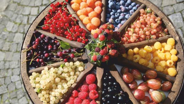 Bio Marché Zofingen Beerenrad