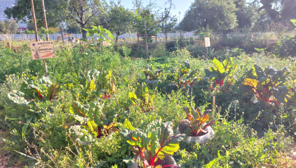Hostetgarten