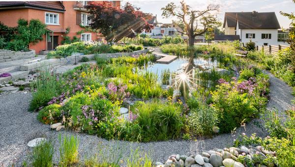 naturnaher Wassergarten Bild Benedikt Dittli