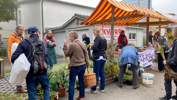 Besucher an der Pflanzenbörse Ermatingen 2022