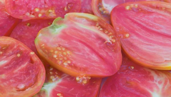 Schmackafte, reife Fleischtomate
