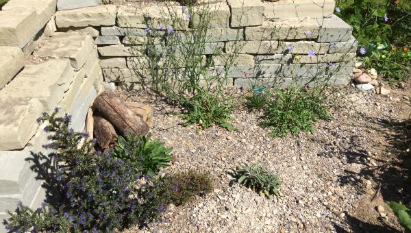 Steine im Garten