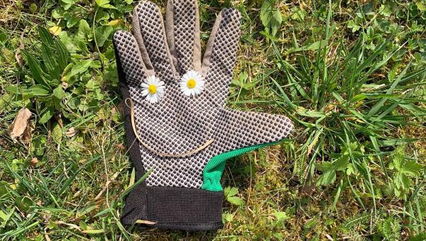 Gartenhandschu auf der Blumenwiese.