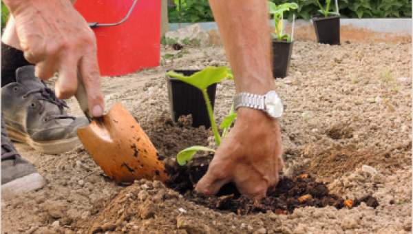 Gartenbaukurs
