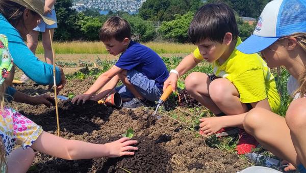Gartenkinder pflanzen Kürbisse, Bild Regina Hofstetter