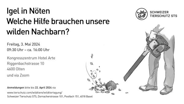 Wildtiertagung Igel, Bild zvg