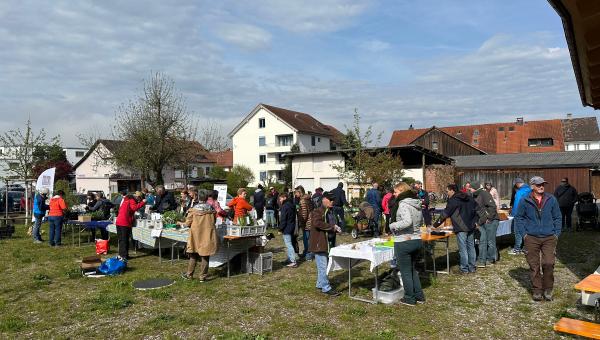 Pflanzenmarkt in Würenlingen