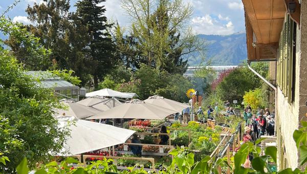 Frühlingsfest Gartenbauschule Hünibach, Bild zvg
